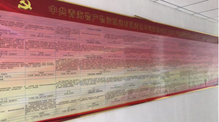 物產(chǎn)配送公司黨委“黨的建設(shè)重點強(qiáng)化年”活動2018年工作任務(wù)、組織保障具體化